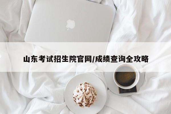 山东考试招生院官网/成绩查询全攻略